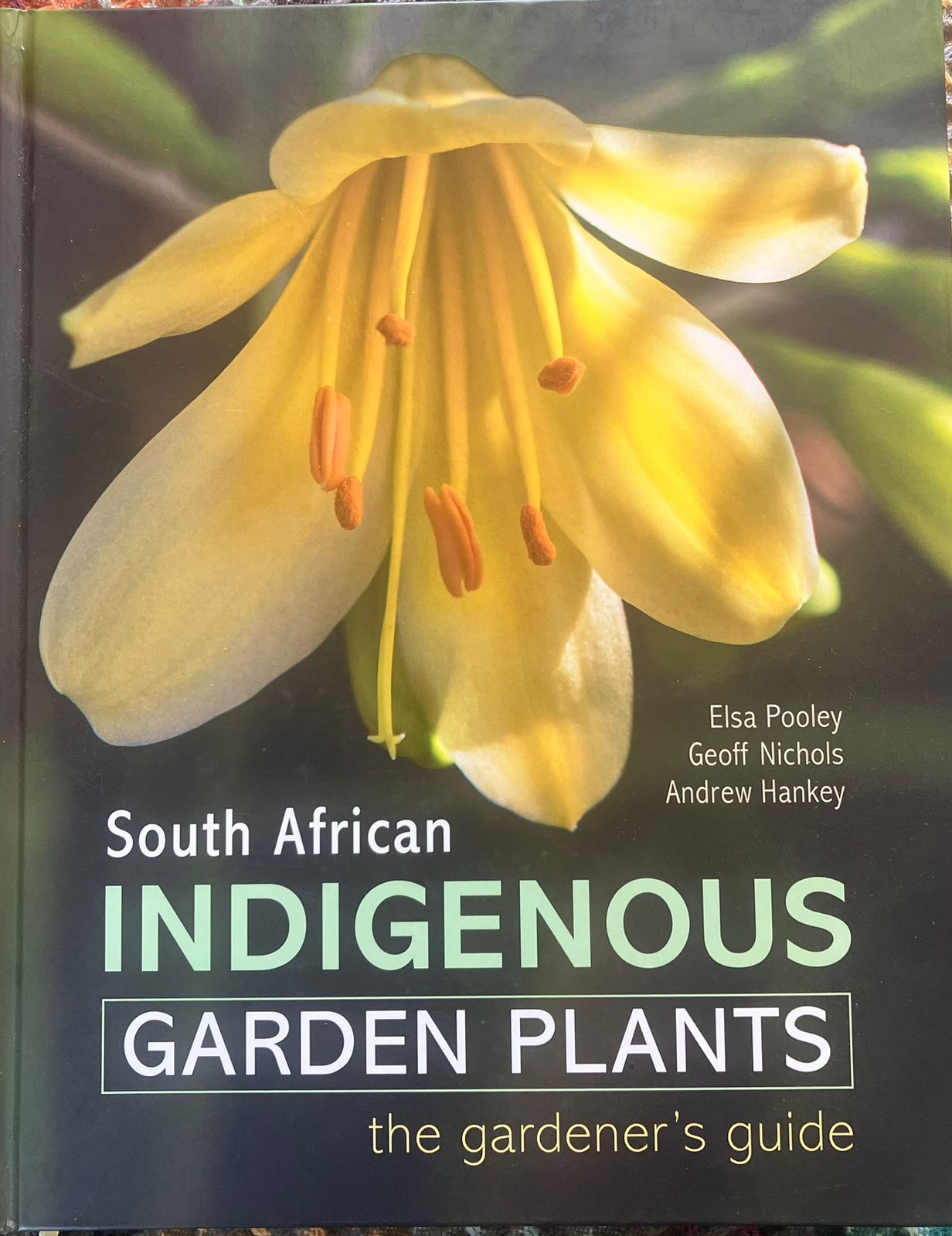 BOTANICAL RINKSページ Online Newsletter - Napierheritageza