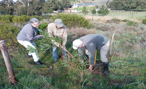 It takes team effort to restore the natural ecosystem