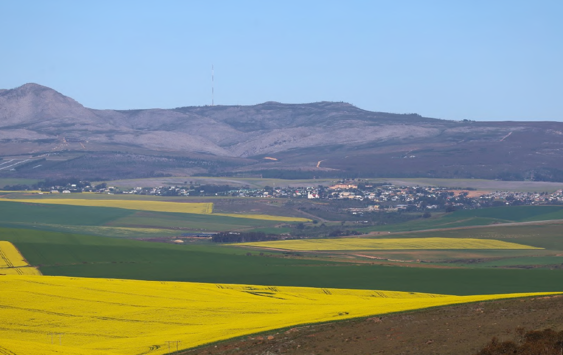 Heritage Herald – July 2026